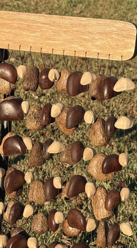 Strands of dried seed pods hanging from a wooden bar, glowing in the sun